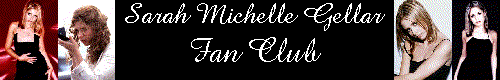 smgclub.gif (11898 bytes)