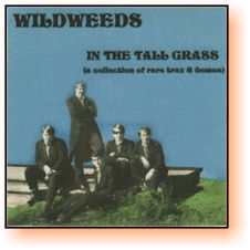The Wildweeds Someday Morning The Wildweeds Someday Morning