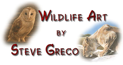 Welcome to Wildlife Art by Steve Greco!