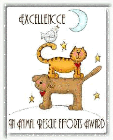 Award #1