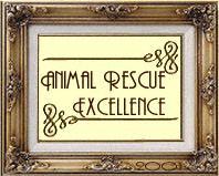 Award #3
