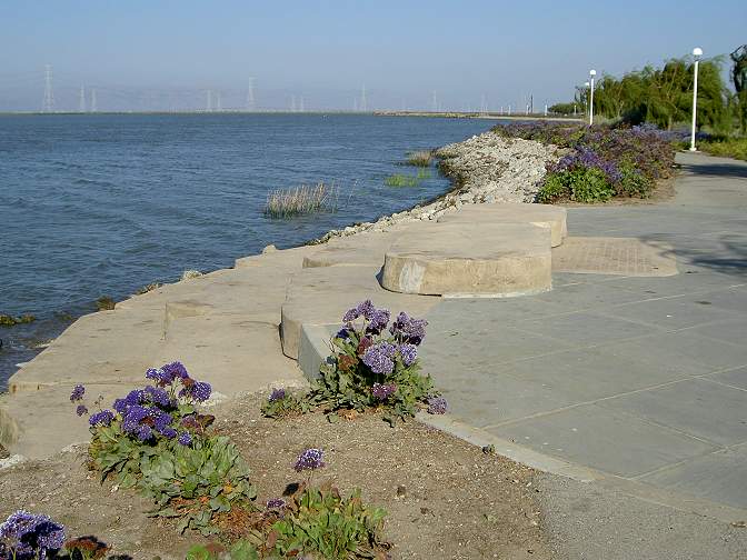 Bay Trail, Pacific Shores Center, Redwood City