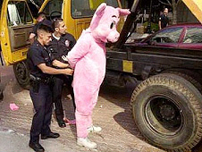 White meat arrested