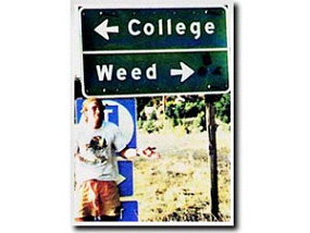 college or weed