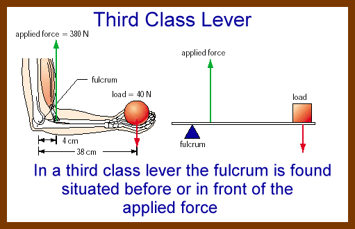 3rd class lever. a lever is called Torque.