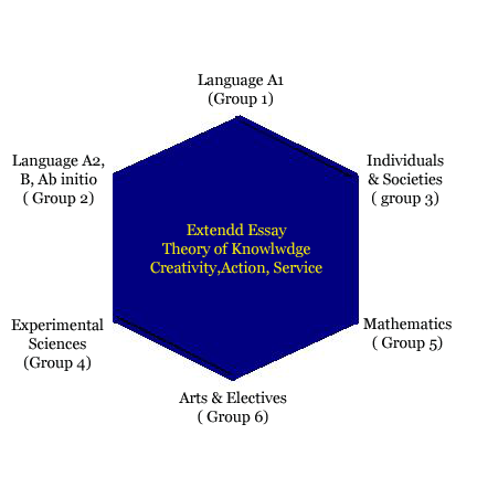 Educational Website