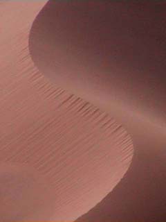 Dune crest