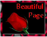 Beautiful Page Award
