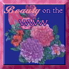 Beauty on the WWW