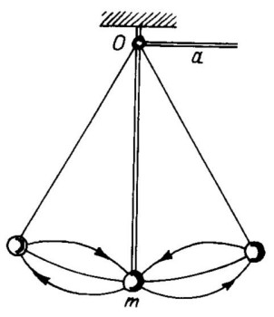 peso fisica