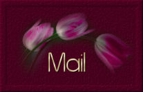 Email Me!