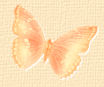 Decal