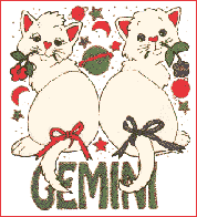 [Cat of Gemini]