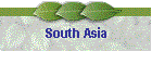 South Asia