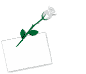 ThankYouKDwhiteRoseTransp.gif (37682 bytes)