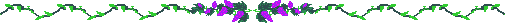 grapebar.gif (2206 bytes)