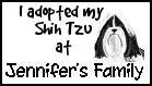 I Adopted My ShihTzu At Jennifer's Family