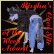 Mischa cool site of week received 2/09/98