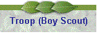 Troop (Boy Scout)