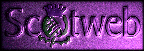 Explore Scotweb...