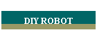 DIY ROBOT