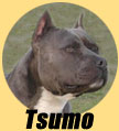 Tsumo