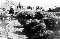 MULE PARTY ON HORIZON MOVING AWAY FROM CAMERA. -RETURNING FROM HERMIT CAMP.- 26 JULY 1919. MADDEN
