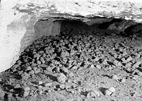 INTERIOR VIEW OF RAMPART CAVE - DETAIL OF SLOTH DUNG - SEPT 1938. NPS
