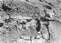 DR. DAVID WHITE, PALEONTOLOGIST,  EXAMINING SPECIMENS OF HACKATI SHALE IN FOSSIL BEDS ABOVE SCHIST. 17 JUNE 1939. NPS, GRANT. 