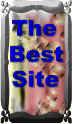 the best site award