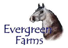 Welcome to Evergreen Farms, home of 'Seven Stars'!