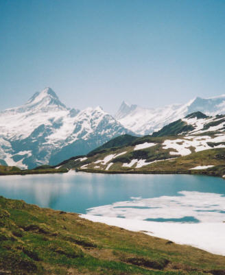 view from the first, grindelwald, bernese oberland