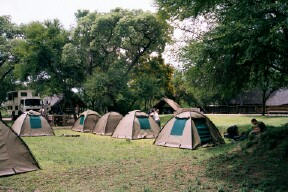 camping antelope park, zimbabwe