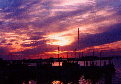 OZONA