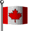 waving Canada flag