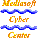 MediaSoft Cyber Center