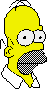 Homer's face