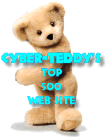 CyberTeddy Top 500 Website Award