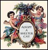 Diabella Cat Graphics