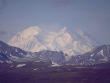 Picture of Picture of Denali