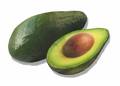picture of Avocado