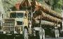 Picture of logging truck