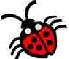 Pictures of ladybug