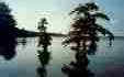 Picture of Reelfoot Lake