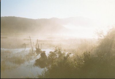 Foggy Morning At The Lake's Dam