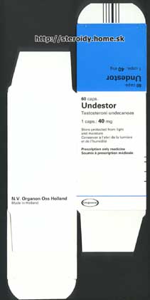 Undestor - Obal 1 (58 700 kB)