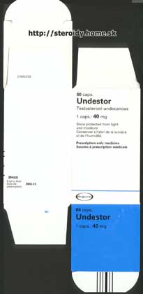 Undestor - Obal 2 (55 536 kB)