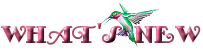 what's new (3922 bytes)