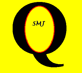 The QSM Logo