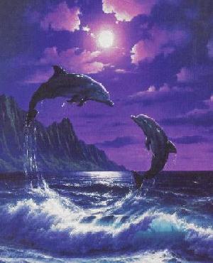 dolphins.jpg